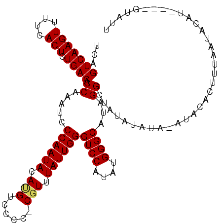 secondary structure