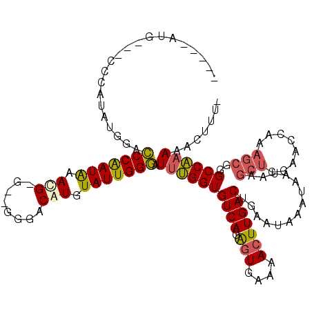 secondary structure