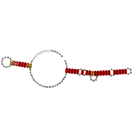secondary structure