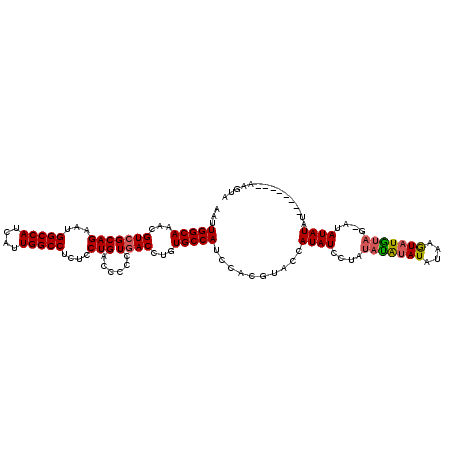 secondary structure