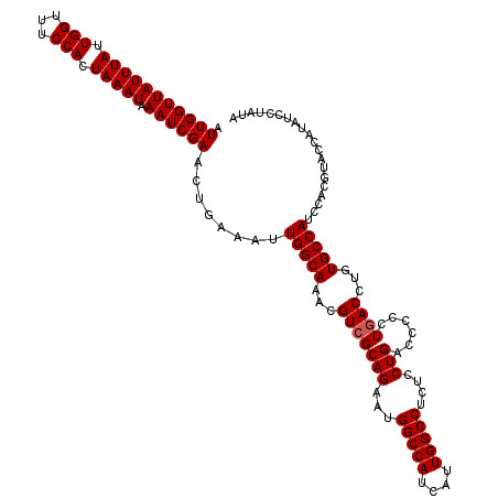 secondary structure