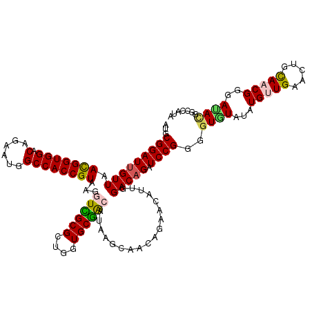 secondary structure