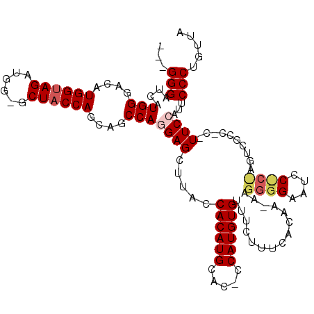secondary structure