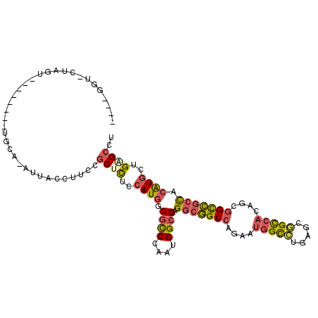 secondary structure