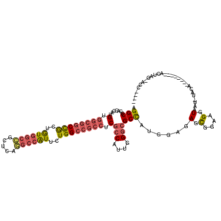 secondary structure