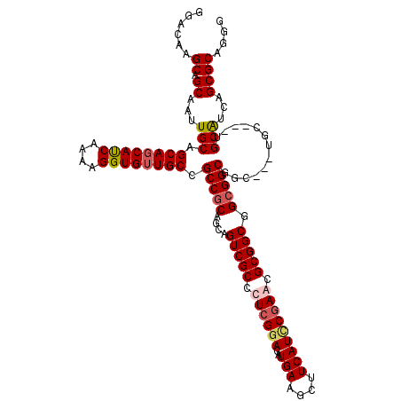 secondary structure