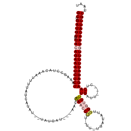 secondary structure