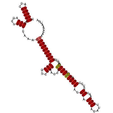 secondary structure