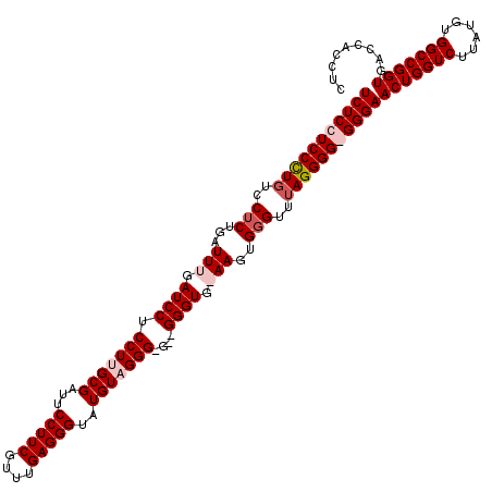 secondary structure