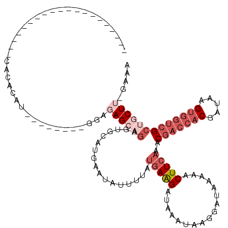 secondary structure