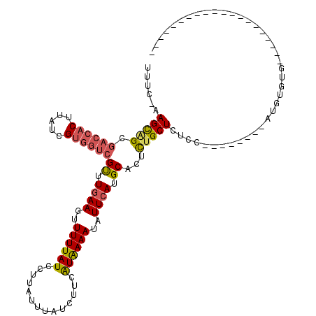 secondary structure