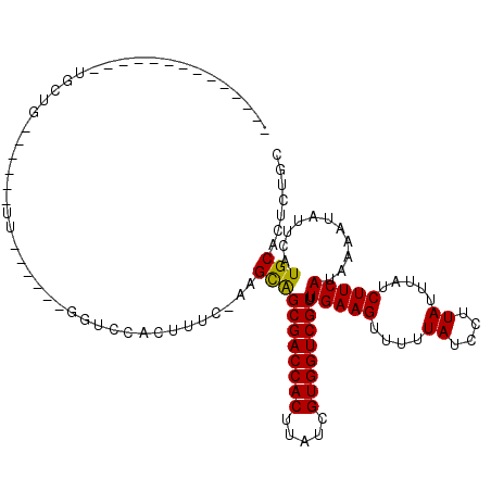 secondary structure