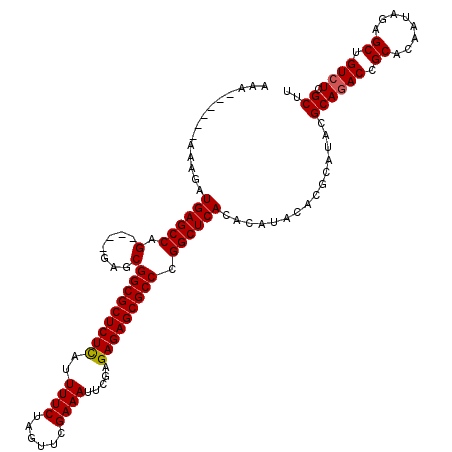 secondary structure