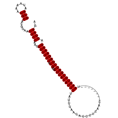 secondary structure