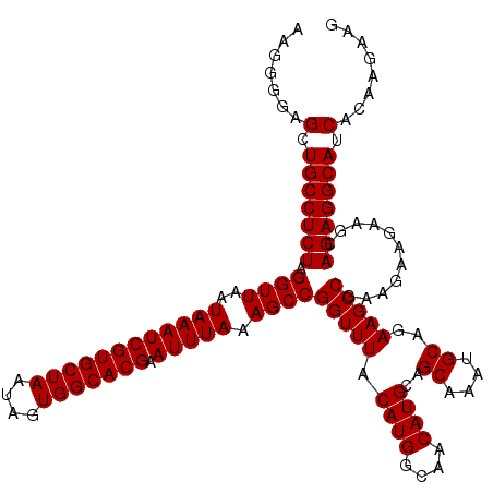 secondary structure