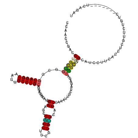 secondary structure