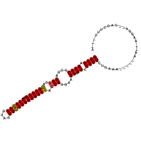 secondary structure
