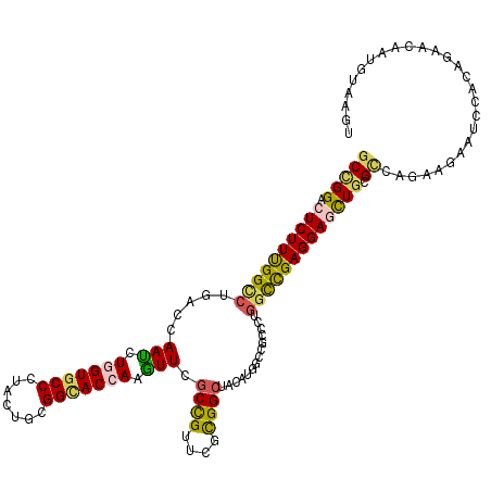 secondary structure