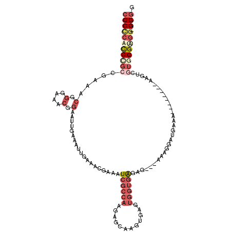 secondary structure