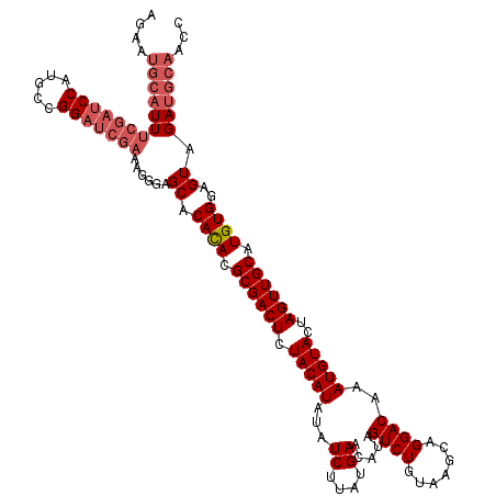 secondary structure