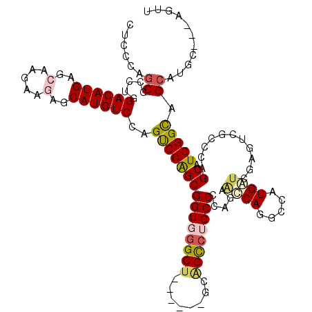 secondary structure
