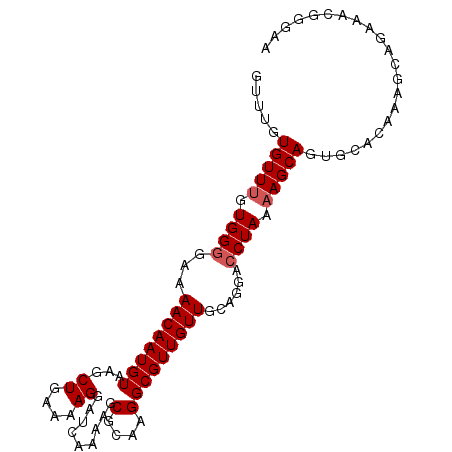 secondary structure