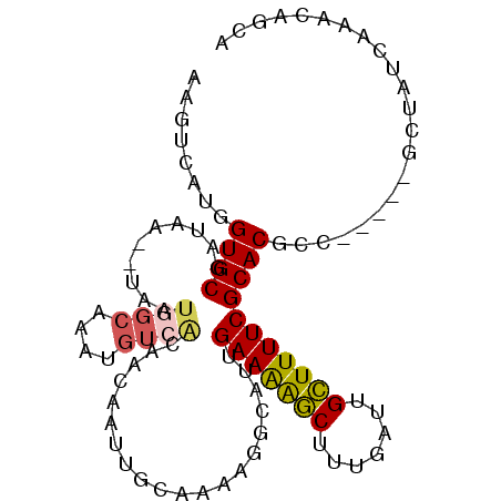 secondary structure