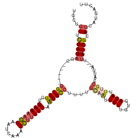 secondary structure