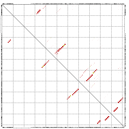 dotplot