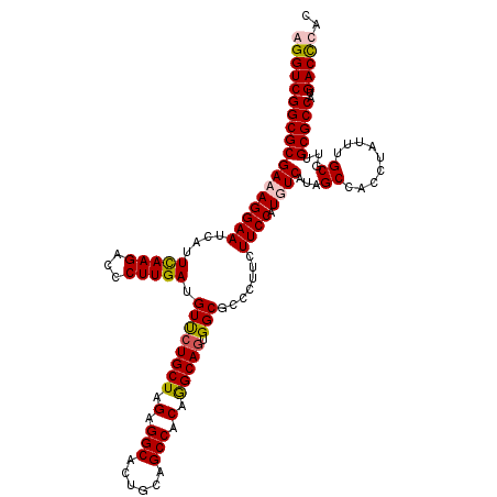 secondary structure