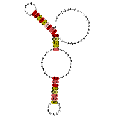 secondary structure