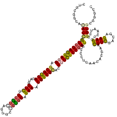 secondary structure