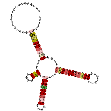 secondary structure