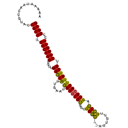 secondary structure