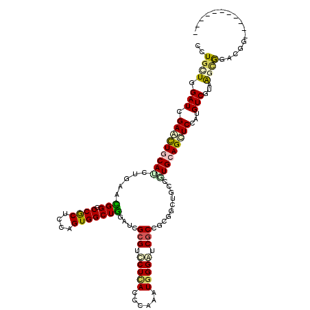 secondary structure