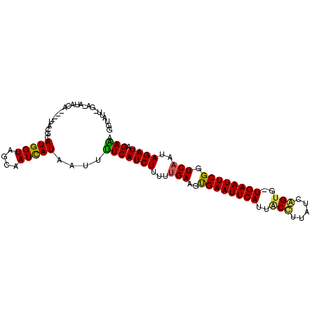 secondary structure
