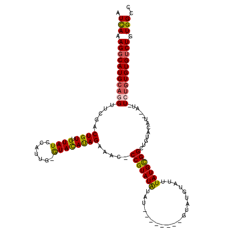 secondary structure