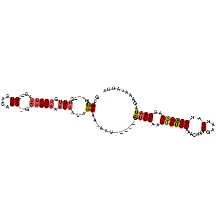 secondary structure