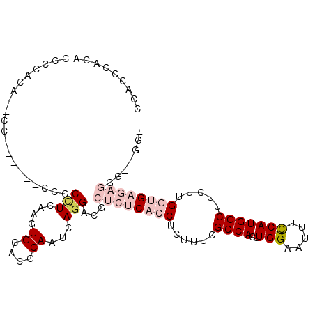 secondary structure