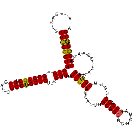 secondary structure