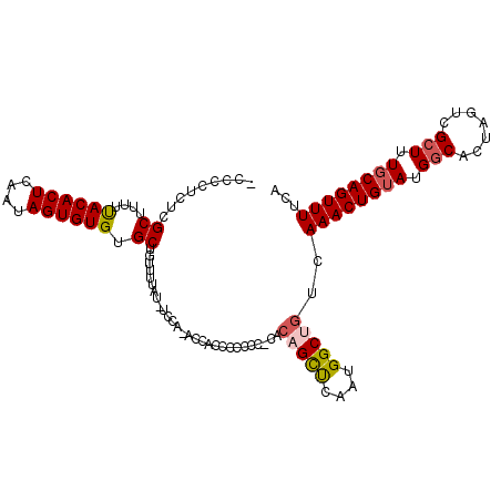 secondary structure