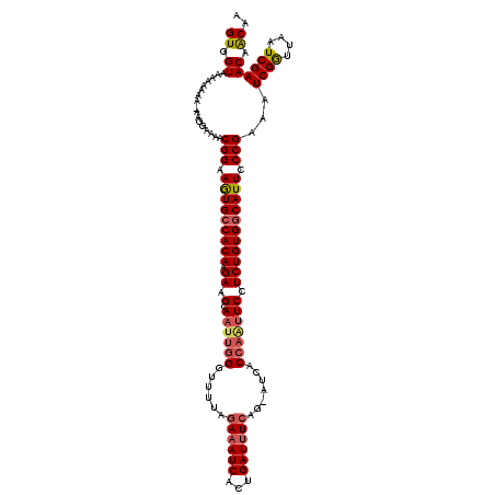 secondary structure