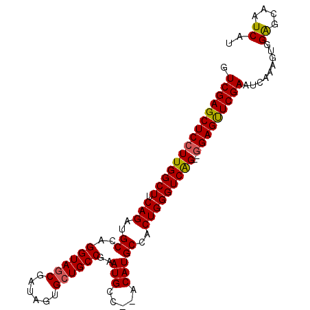 secondary structure