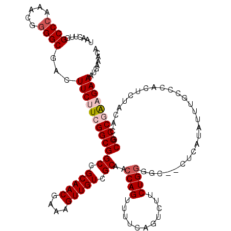 secondary structure