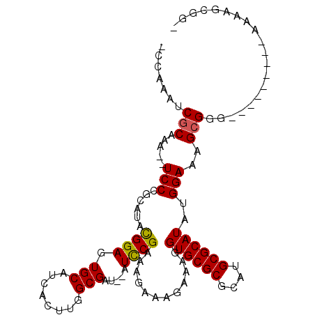secondary structure