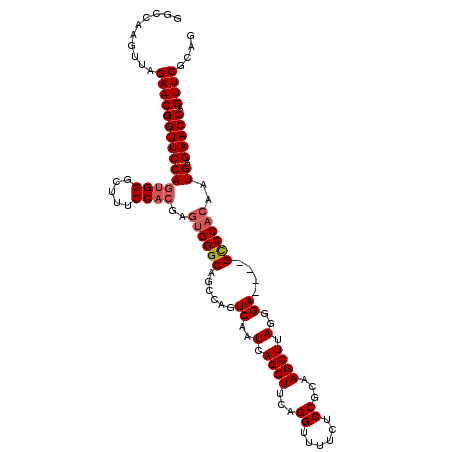 secondary structure