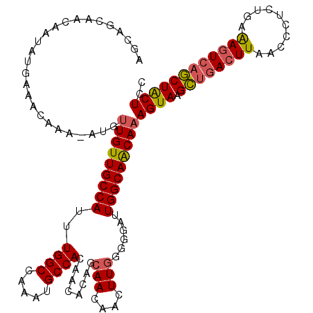 secondary structure