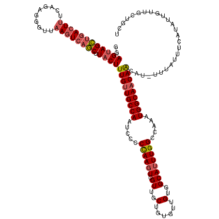 secondary structure