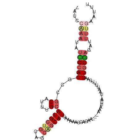 secondary structure