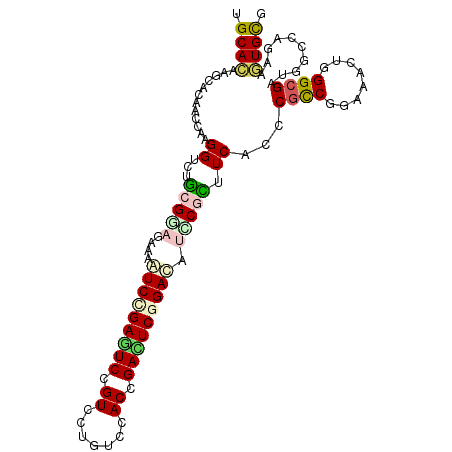 secondary structure